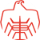 Shandong Men's Basketball Team