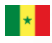 Senegal women's football team