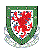 Wales U21